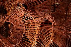 Dubai Design Week 2025__5