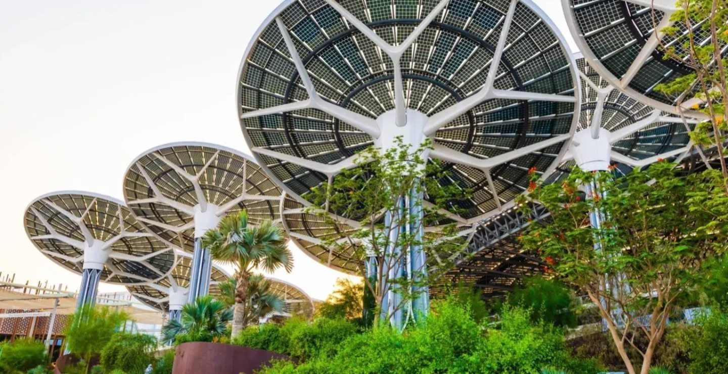 Eco Initiaves Dubai__3