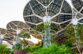 Eco Initiaves Dubai__3