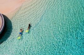 PHUV_Snorkle_Lonu_Veyo_01_G_A_L