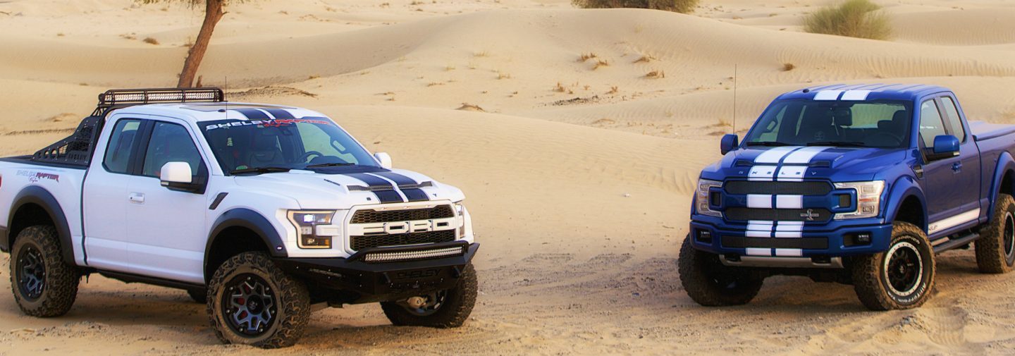 F-150 Shelby and Shelby Raptor Baja 2