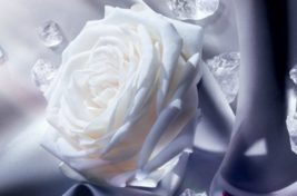 La Nuit Trésor Musc Diamant Lancôme__5