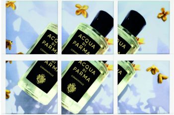Acqua Di Parma - Signatures of Sun - Osmanthus Press Release English