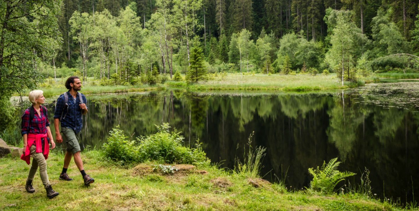 Germany Tourism Black Forest__1
