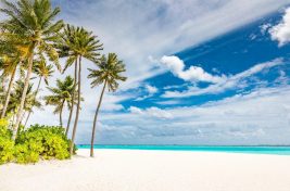 Siyam World Maldives__5 (1)