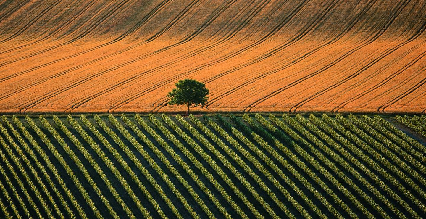 Aqua Allegoria Harvest__10