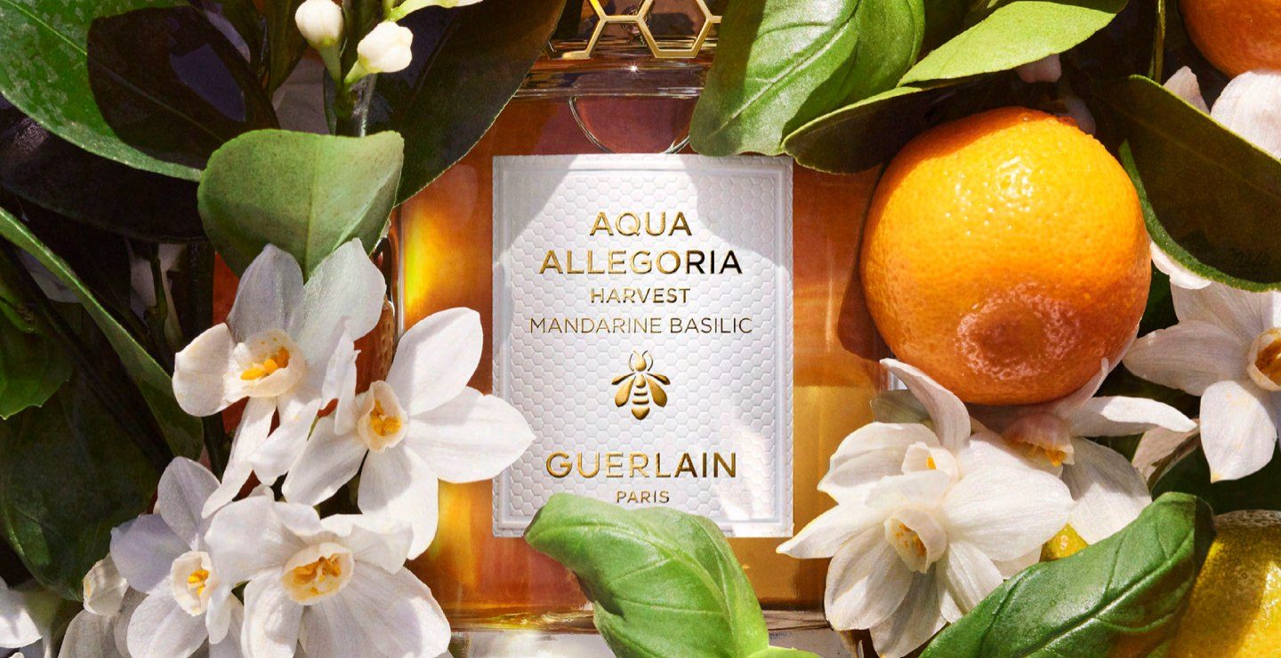 Aqua Allegoria Mandarine Basilic Harvest__4