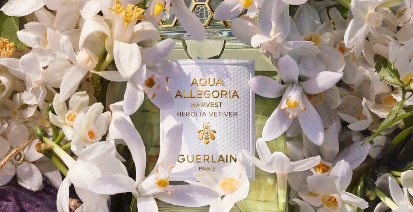 Aqua Allegoria Nerolia Vetiver Harvest__3