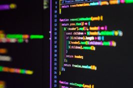 Dualroots IT Solutions__2