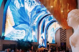 Zenon Dubai__4 (1)