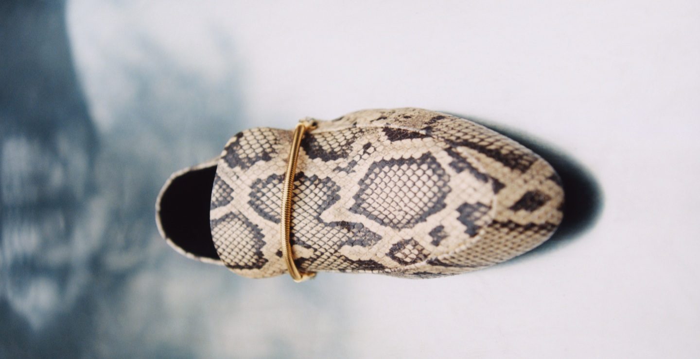 Year of the Snake Jil Sander__4