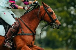 Polo Xperience The Legacy Cup Zivert Dubai__3