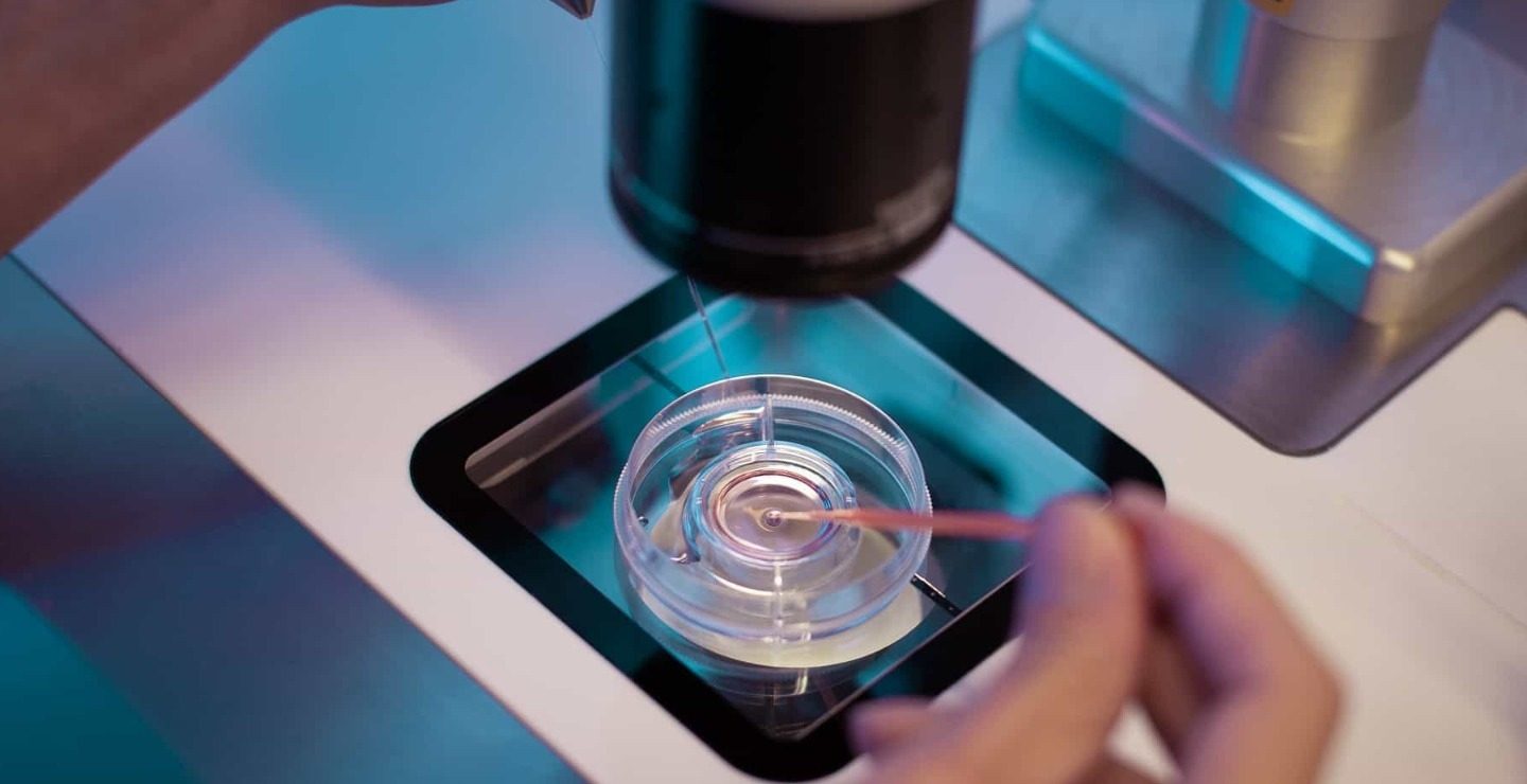 First IVF Dubai__1