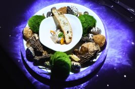 Magic Table Andaz Palm__2