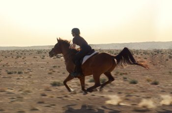 Al Maha Desert Resort__3