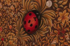 Lady Bird Dubai__3