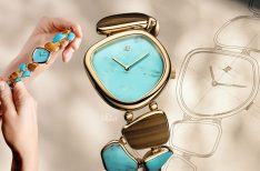 Galets Établisseurs Audemars Piguet__3